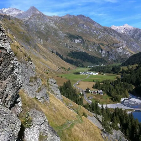 Campanule La Plagne